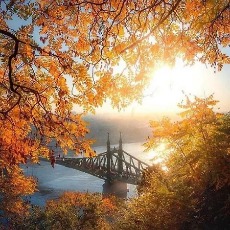 Diamond - Chain Bridge *